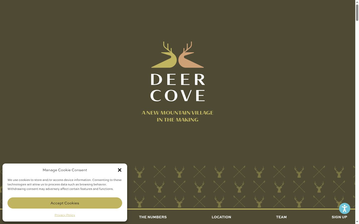 Screenshot of the consent banner shown before any interaction
