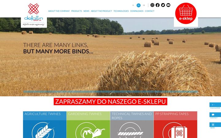Screenshot of defalin.com.pl