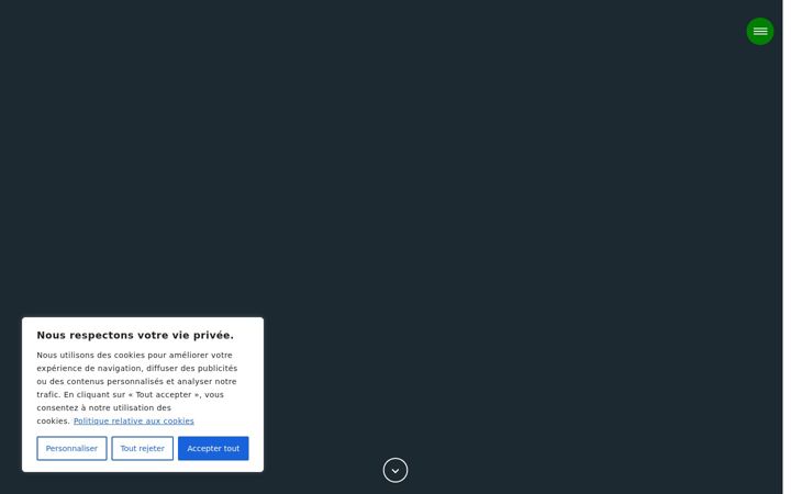 Screenshot of defidelatortue.com