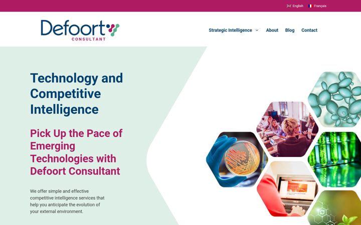 Screenshot of defoortconsultant.com