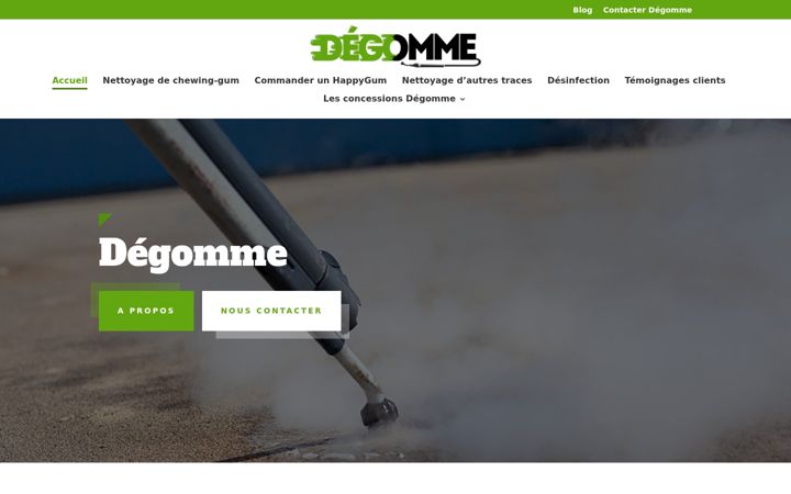 Posnetek zaslona degomme.fr