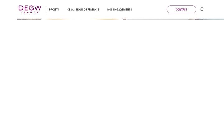 Screenshot of degwfrance.com
