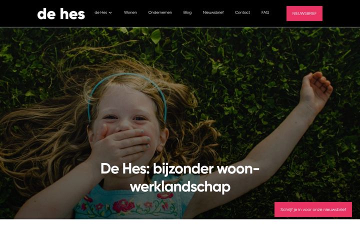 Capture d'écran de dehes.nl