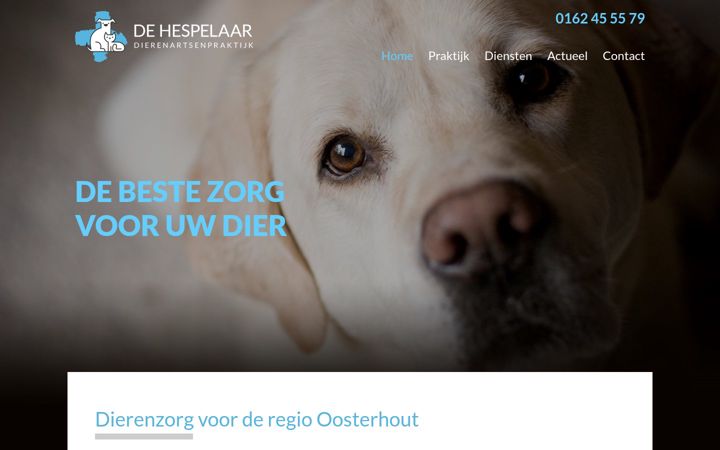 Screenshot di dehespelaar.nl