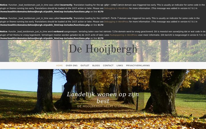 Skjermbilde av dehooijbergh.nl