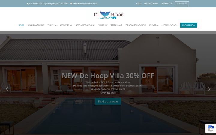 Screenshot of dehoopcollection.com