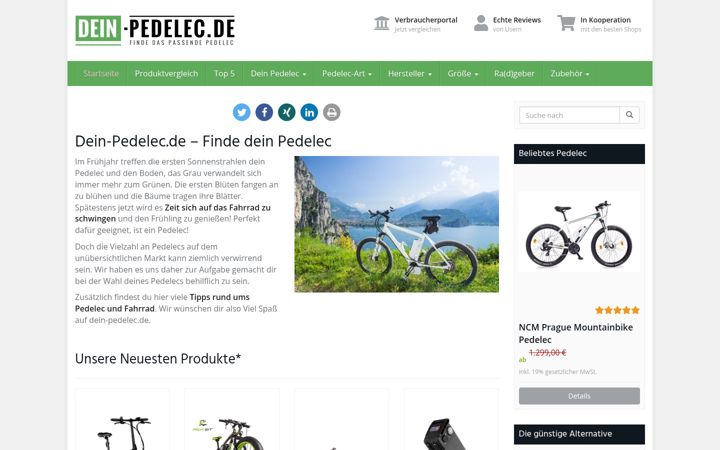 Screenshot of dein-pedelec.de