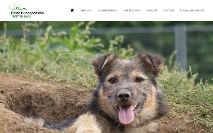Screenshot of deine-hundepension.de