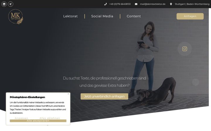 Screenshot of deintextlektor.de