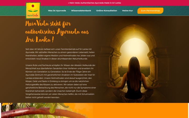 Screenshot of deinveda.com