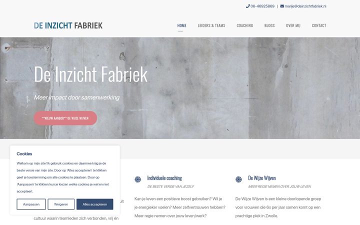 Zrzut ekranu deinzichtfabriek.nl