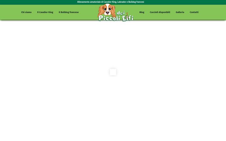 Screenshot of deipiccolielfi.it