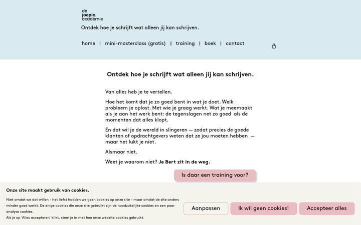 Zrzut ekranu dejoepieacademie.nl
