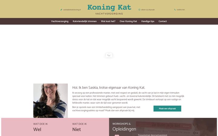Screenshot stránky dekatiskoning.nl