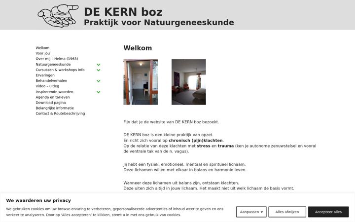 Screenshot stránky dekernboz.nl
