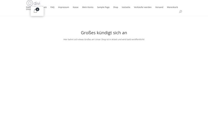 Screenshot of dekofranz.at
