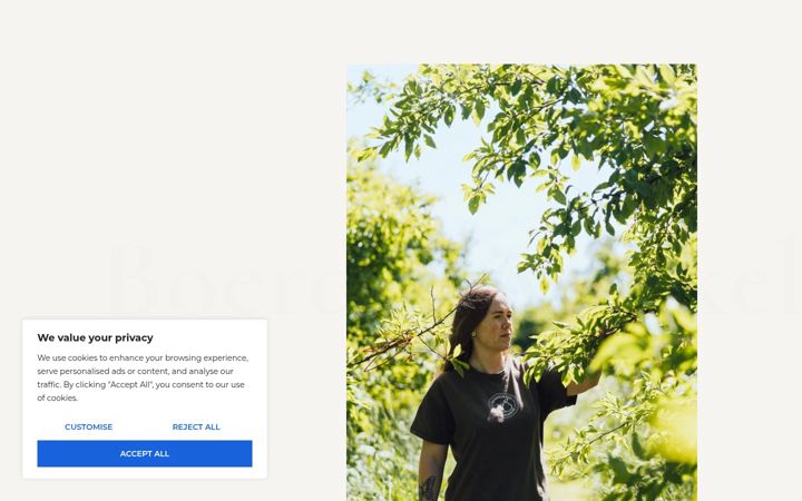 Screenshot of dekruisbrink.nl