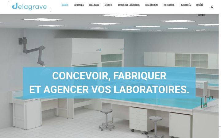 Screenshot of delagrave.fr