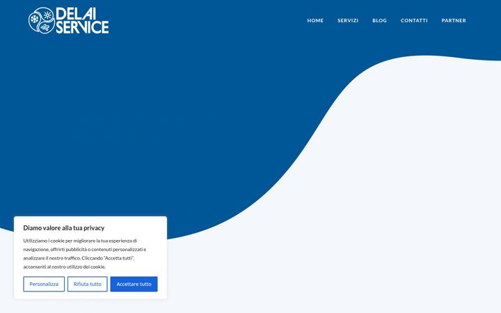 Screenshot of delaiservice.it