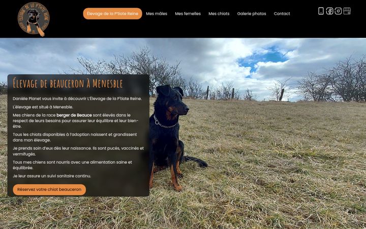 Screenshot of delaptiotereine-chiens-de-france.co