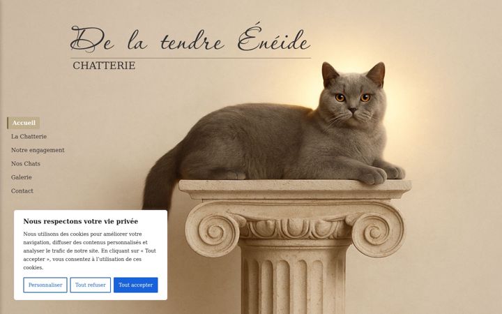 Posnetek zaslona delatendreeneide.fr