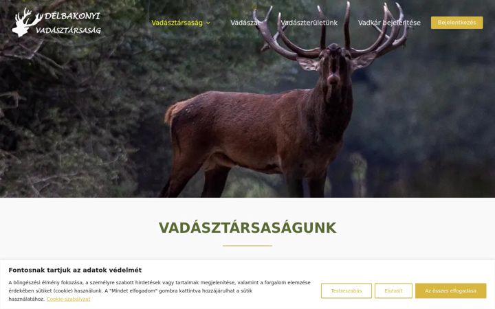 Screenshot von delbakonyivt.hu