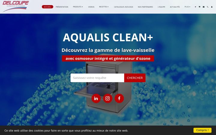 Screenshot of delcoupe.net