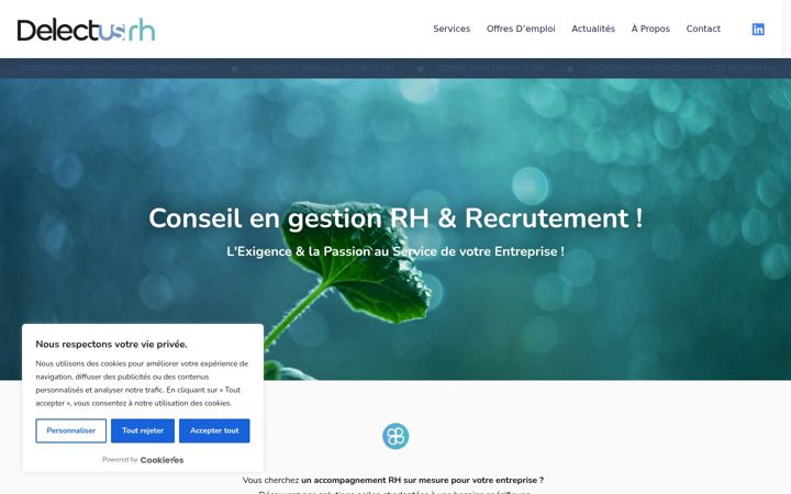 Screenshot of delectusrh.fr
