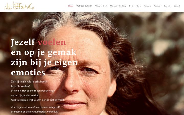 Captură de ecran a deleefschool.nl