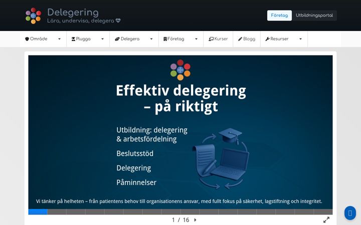 Snimka zaslona za delegeringsprov.se