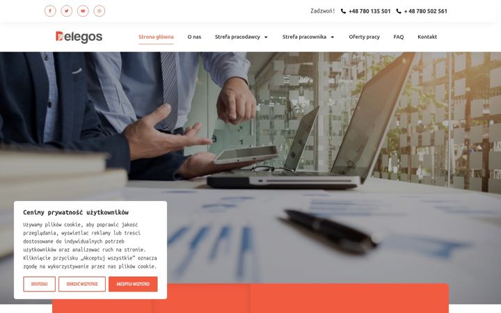 Screenshot of delegos.pl