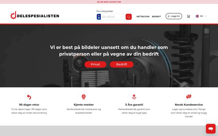 Screenshot stránky delespesialisten.no