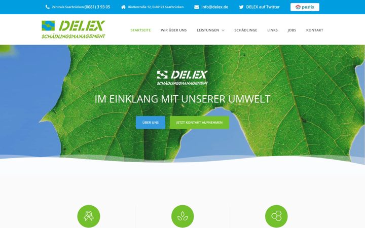 Screenshot of delex.de