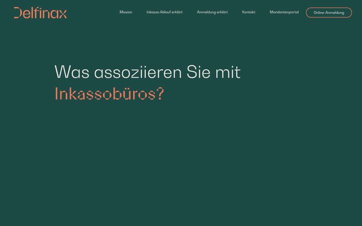 Screenshot of delfinax.de
