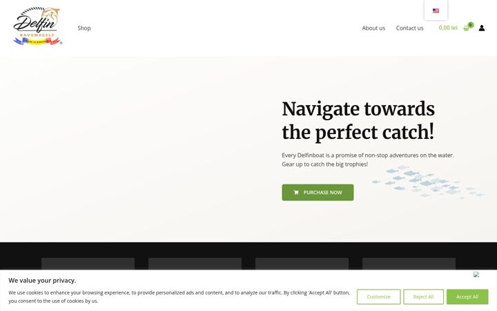 Screenshot of delfinboats.eu
