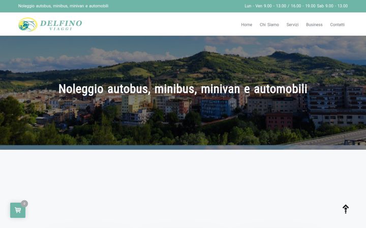 Screenshot of delfinoviaggi.com
