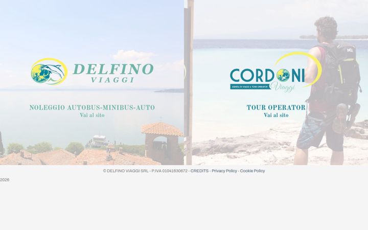 Screenshot of delfinoviaggi.it