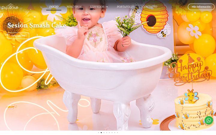Screenshot of delfinvallefotografia.com
