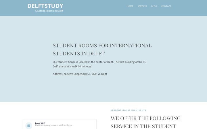 Screenshot stránky delftstudy.nl