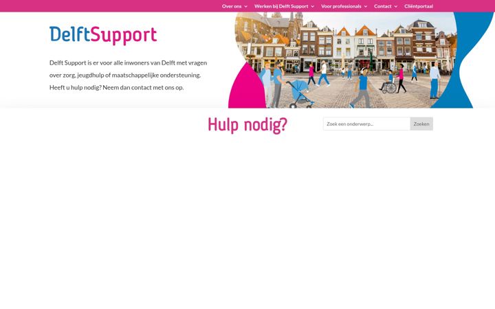 Screenshot stránky delftsupport.nl