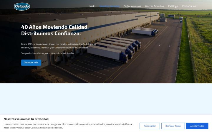 Screenshot of delgadologistica.com