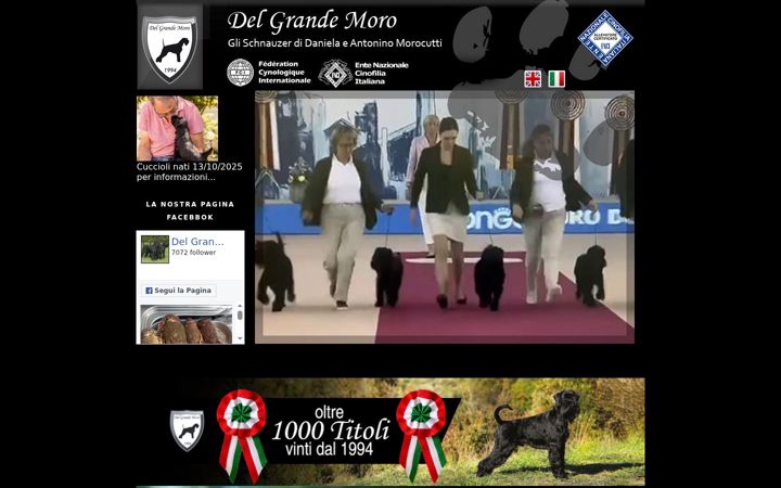 Screenshot of delgrandemoro.it