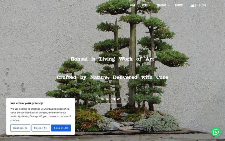 Screenshot of delhibonsai.com