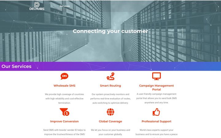 Screenshot of delhubs.com