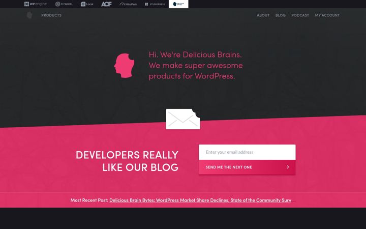 Screenshot of deliciousbrains.com