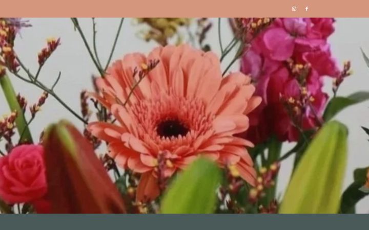 Screenshot of delifleur.nl