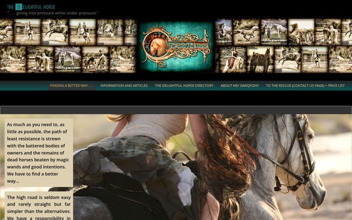 Screenshot of delightfulhorse.com