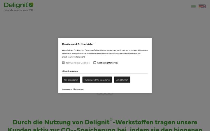 Screenshot of delignit-sustainability.de
