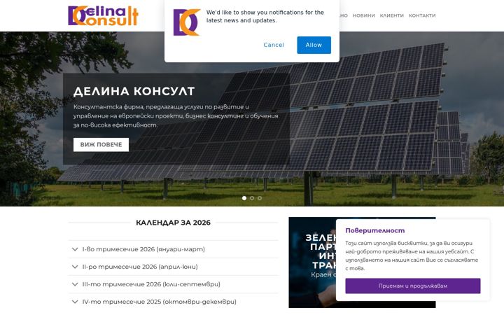 Screenshot of delina-consult.com