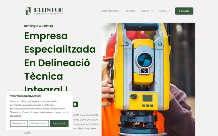 Screenshot of delintop.com
